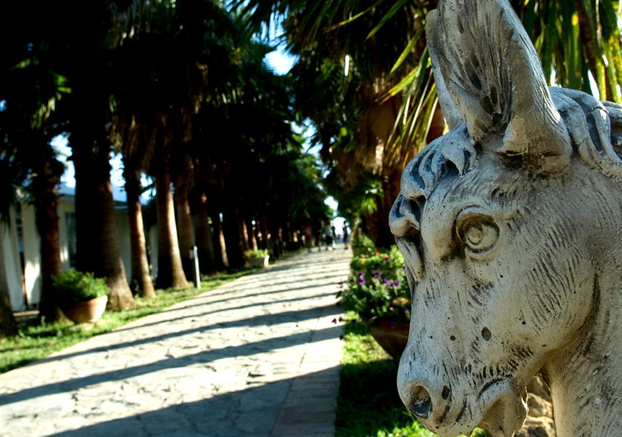 Cilento Resort Villaggio Velia Marina Di Casal Velino Εξωτερικό φωτογραφία